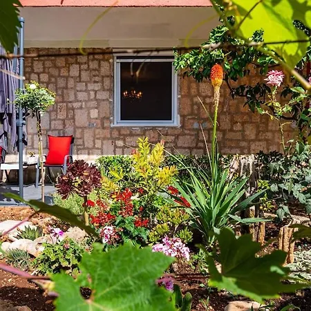 Апартаменты Luxury Modern With Garden Near Old Town Задар